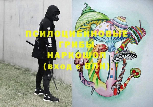 apvp Абаза