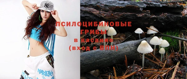 крисы Абинск