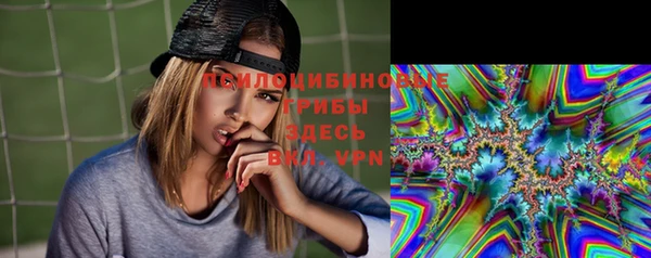 крисы Абинск