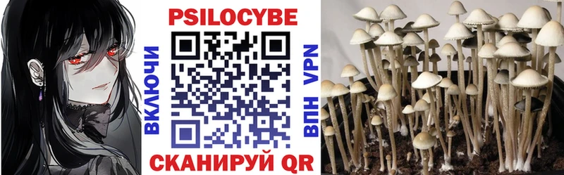 Галлюциногенные грибы прущие грибы Отрадное