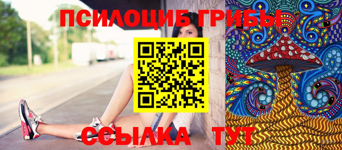 Псилоцибиновые грибы GOLDEN TEACHER  Вход с VPN  Псилоцибиновые грибы Cubensis  Отрадное 